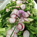 Hillerød spiser sammen i uge 17-Grøn frokost & rundvisning i vores skovhave d 26/4-2026