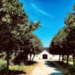 Gratis foredrag om arv og testamente, inkl. middag med ´Din familiejurist D. 15. april 2026 kl. 18:00-20:00