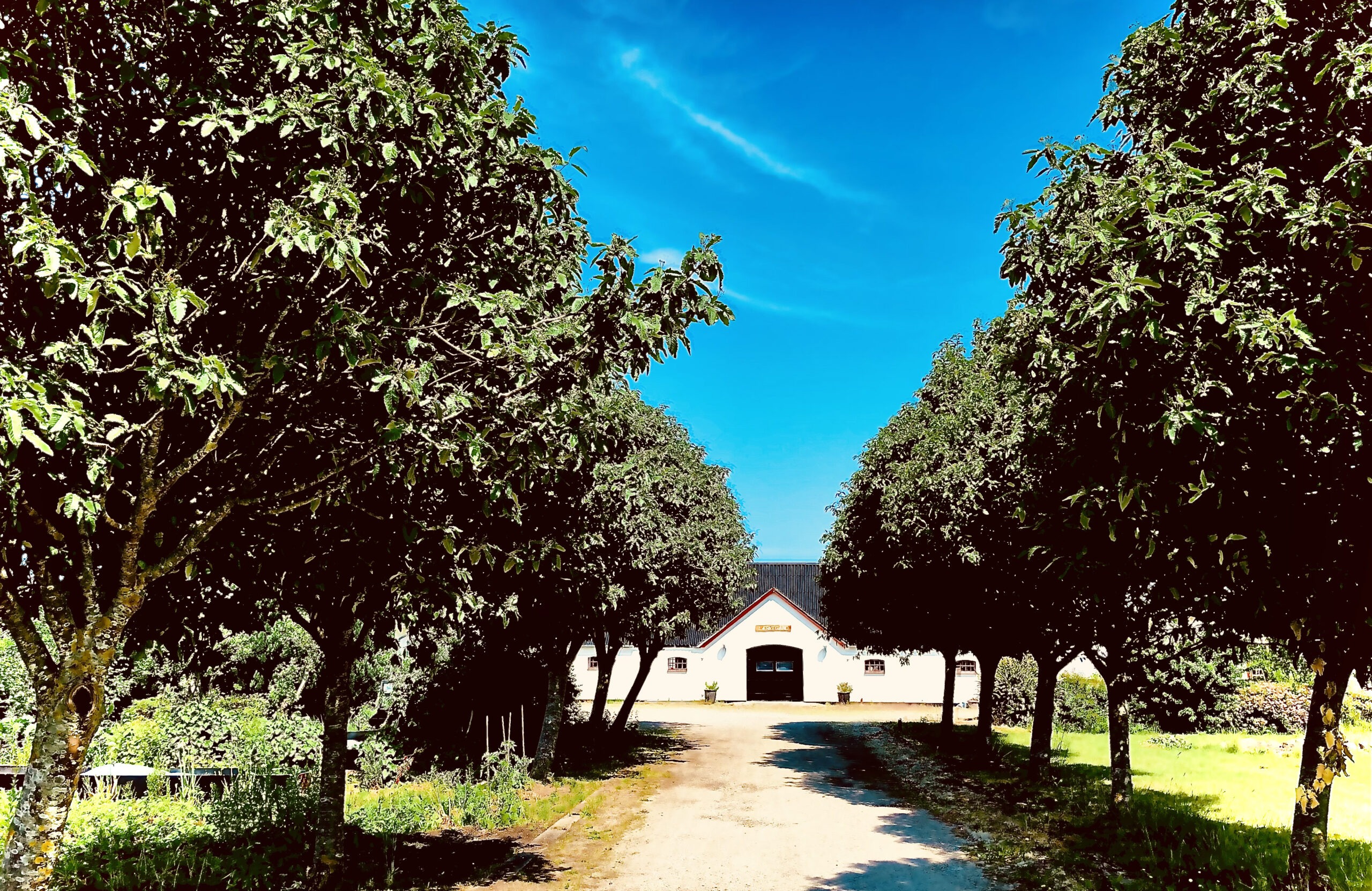 Gratis foredrag om arv og testamente, inkl. middag med ´Din familiejurist D. 15. april 2026 kl. 18:00-20:00